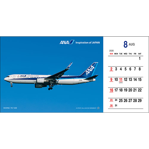 8BOEING 767-300