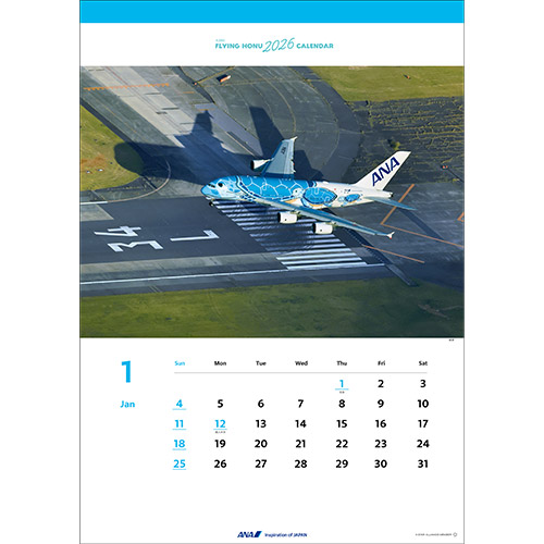 ANA A380 FLYING HONU 2025 カレンダー　サイン入り 61N-q5JdQGL._AC_SY200_QL15_.jpg