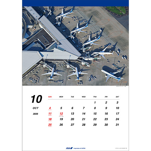 10 BOEING 787-8, 787-9 c