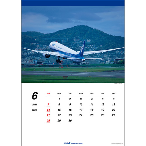 ANA 787 ポスター real-inter_b787-025w2