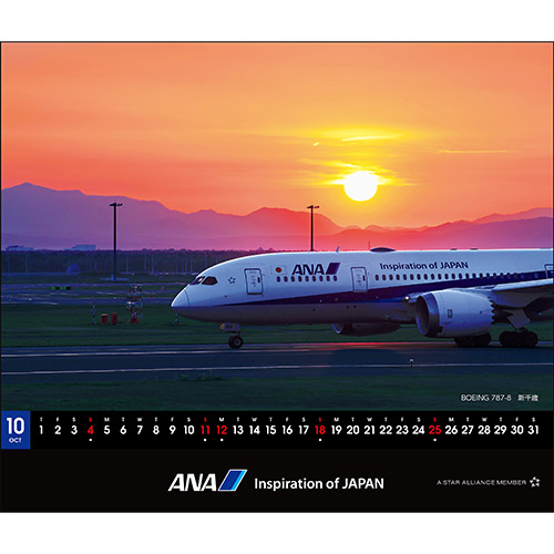 10 BOEING 787-8 V