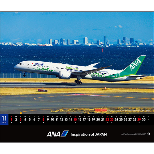 11 BOEING 787-9 ANA Future Promise Jet Hc