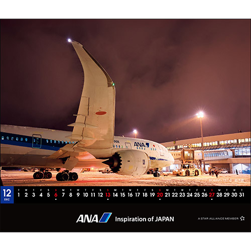 12 BOEING 787-8 V