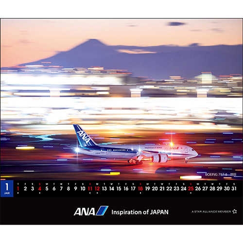 1 BOEING 787-8 Hc
