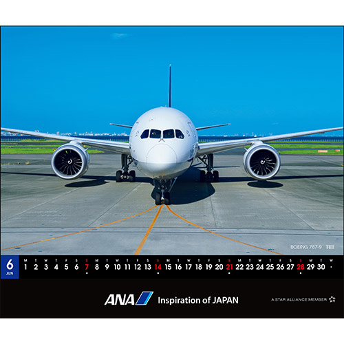 6 BOEING 787-9 Hc