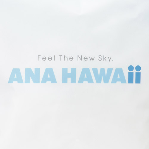 ANA HAWAiiSAbv
