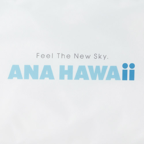 ANA HAWAiiSAbv