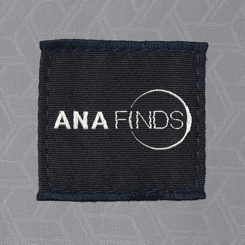 ANA FINDS̐Dl[