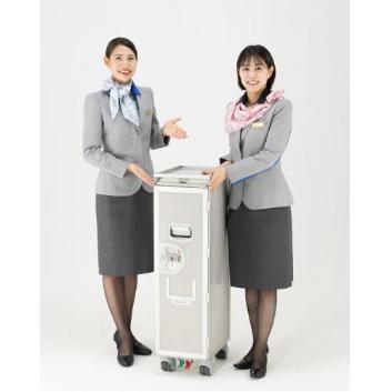 ANAIWi@ڃJ[g CM1121-101NH1 (gpi)IWiXebJ[t