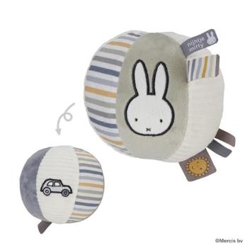 miffy~btB[ xr[{[