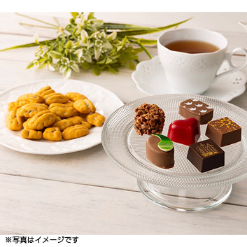 OvXxXgZNVy󒍒ߐ؂F2026/3/10z