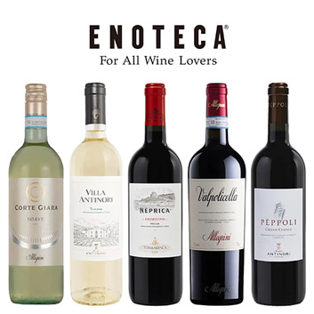 �y�������Е��S�z�C�^���A�y���i��5�{�Z�b�g