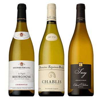 yЕSzÑiVu̓uS[jYC@3{Zbg