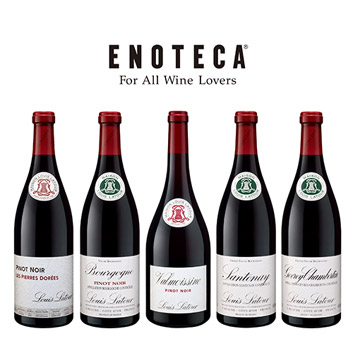 yЕSz僋CEgD[ smEm[\5{Zbg