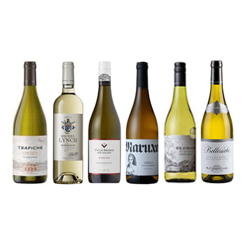 yЕSz~̋Ɩ݂IE̖n炨͂锒C6{Zbg