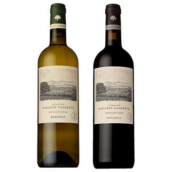 yЕSztBbgЂ̃veBEVg[gVg[ pfBEJXCh̐ԔC2{Zbg