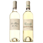 �i�t���V���g�[�A�V���g�[�E���O�����W������|���锒���C��2�{�Z�b�g