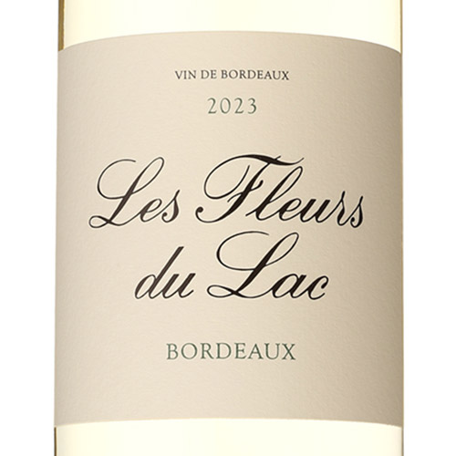 ���V���g�[ ���O�����W������ �t���[�� �f�� ���b�N