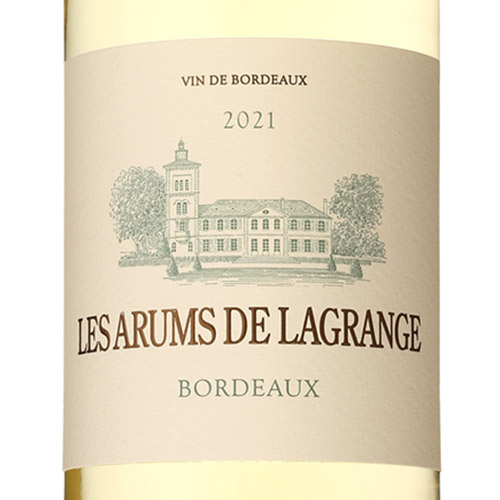 ���V���g�[ ���O�����W������ �U���� �h ���O�����W��