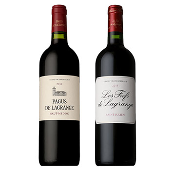 �i�t���V���g�[�A�V���g�[�E���O�����W���̎�|����ԃ��C��2�{�Z�b�g