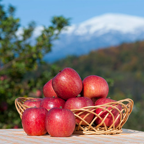 ���i�C���[�W