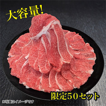 �y2026���܁z�y����50�Z�b�g�z���đ򋍉� ���̏㐙���đ򋍐ؗ���2026���y�󒍒��ߐ؂���F2026/1/13�z