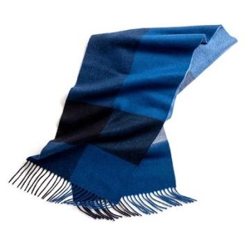 ANAIWiAquascutumubN`FbN}t[