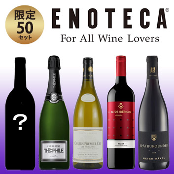 �y2026���܁z�y�������Е��S�z�{���h�[�L���V���g�[��������!�v���~�A�����C������5�{�Z�b�g�y�󒍒��ߐ؂�F2026/1/13�z