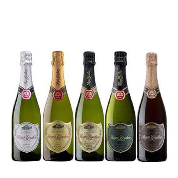 yЕSzv~AJo̖uW[O[gv炨͂邨ȃXp[NOC5{Zbg