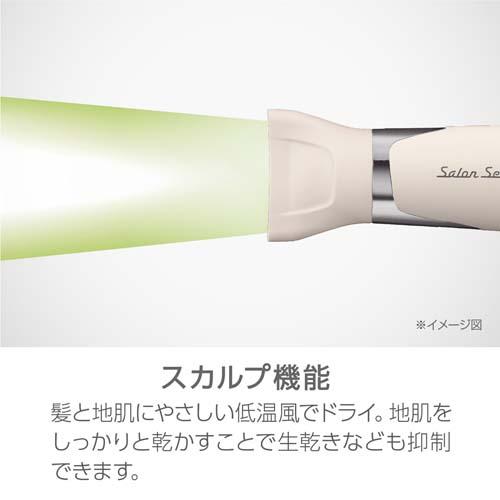 �X�J���v�@�\