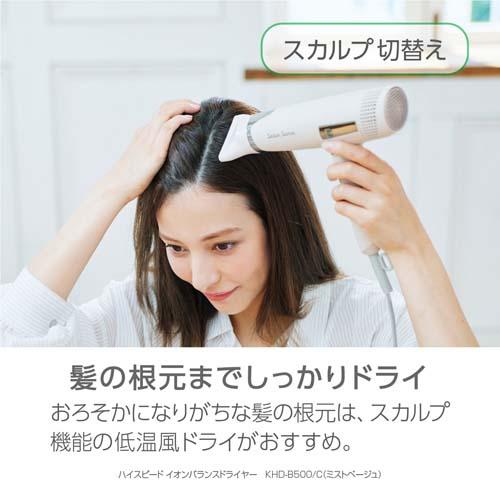 ���̍��{�܂ł�������h���C