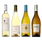 �`�������V 4�����̂������ߔ����C���Z�b�g