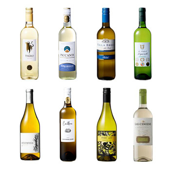 �y�������Е��S�z6���{���h�[�ڋʓ���I���E���V�����C��8�{�Z�b�g