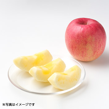 �y�X�y�V�����Z���N�V�����z�X���Y�T���ӂ���񂲁@3kg�i11�`12�ʁj�~2���y�󒍒��ߐ؂���F2026/3/10�z