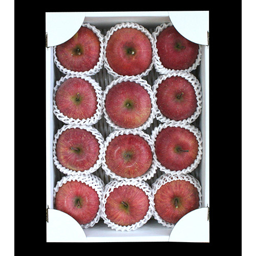 ���͂��C���[�W