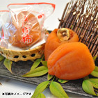 �y�X�y�V�����Z���N�V�����z�嗱����ۊ`10����y�󒍒��ߐ؂���F2026/1/20�z