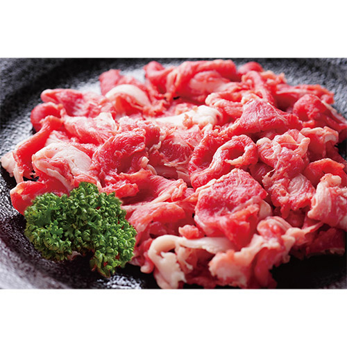 ���i�C���[�W�i�ؗ����j