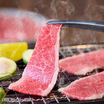 �y�X�y�V�����Z���N�V�����z���đ򋍉� ���̏㐙���đ򋍁@�ē�300g�y�󒍒��ߐ؂���F2026/4/2�z