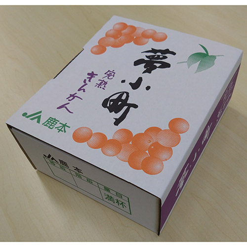 ���͂��C���[�W