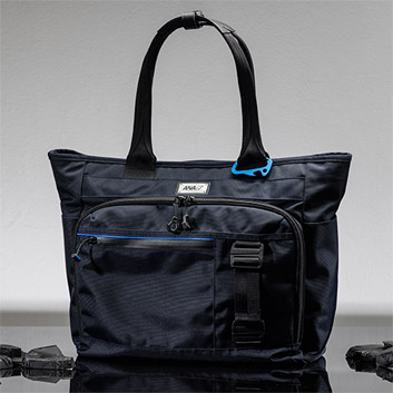 ANAIWi^tȃrWlXg[gobO