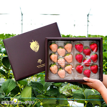 ���n�N���t�g������BERRY�u�g���Z�b�g�v�Q�T�O���~�Q�p�b�N�y�󒍒��ߐ؂���F2026�^2�^27�z