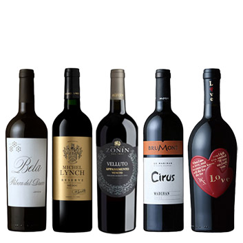 �y�������Е��S�z�o�����^�C���������Ɗy������`���R���[�g�ƍ��킹�����ԃ��C��5�{�Z�b�g