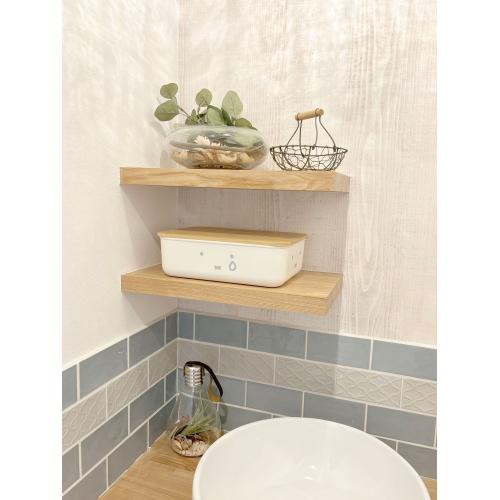 ���ʏ��̂�����Ƃ����Ƃ���ɁB