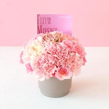 �y2026�N��̓��z����ꉀ�|�����ԃA�����W�����g�u���[���v�y�󒍒��ߐ؂�F2026/5/4�z