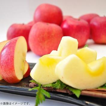 �y������p�z���R�`���Y�����Ă�ܗь�@�󂠂�T���ӂ��T�s�y�󒍒��ߐ؂���F2026/1/23�z