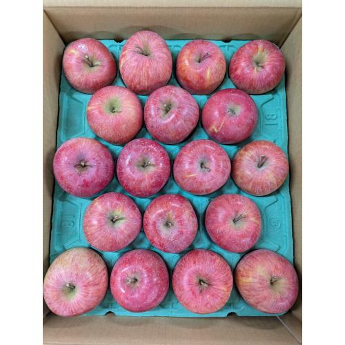 ���͂��C���[�W