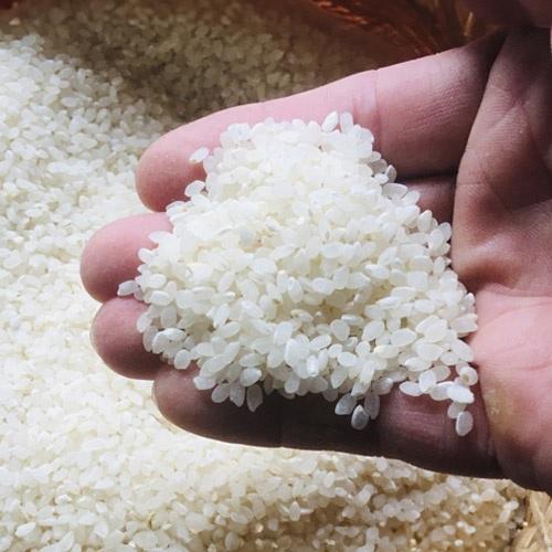 �Z�b�g���e�C���[�W