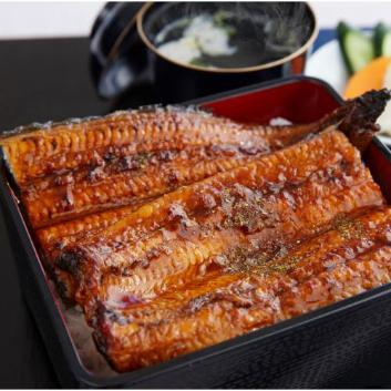 �y�X�y�V�����Z���N�V�����z���������Y ������V������3���Z�b�g�y�󒍒��ߐ؂���F2026/4/2�z