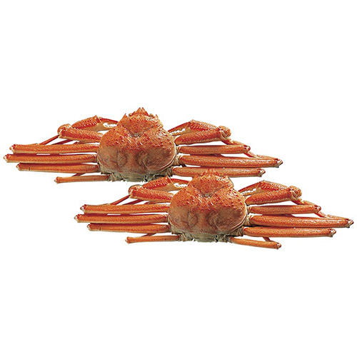 �Z�b�g���e�C���[�W