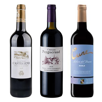 ANA���ې��r�W�l�X�N���X���@�����ڐԃ��C��3�{�Z�b�g